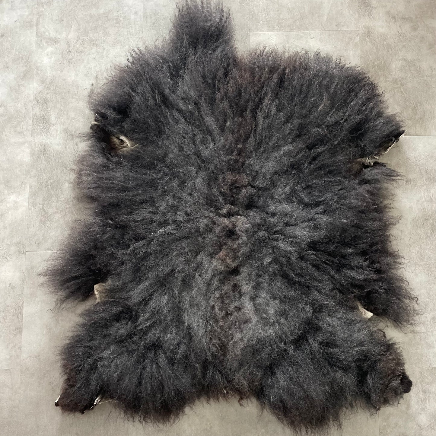 Sheepskin (2nd grade)