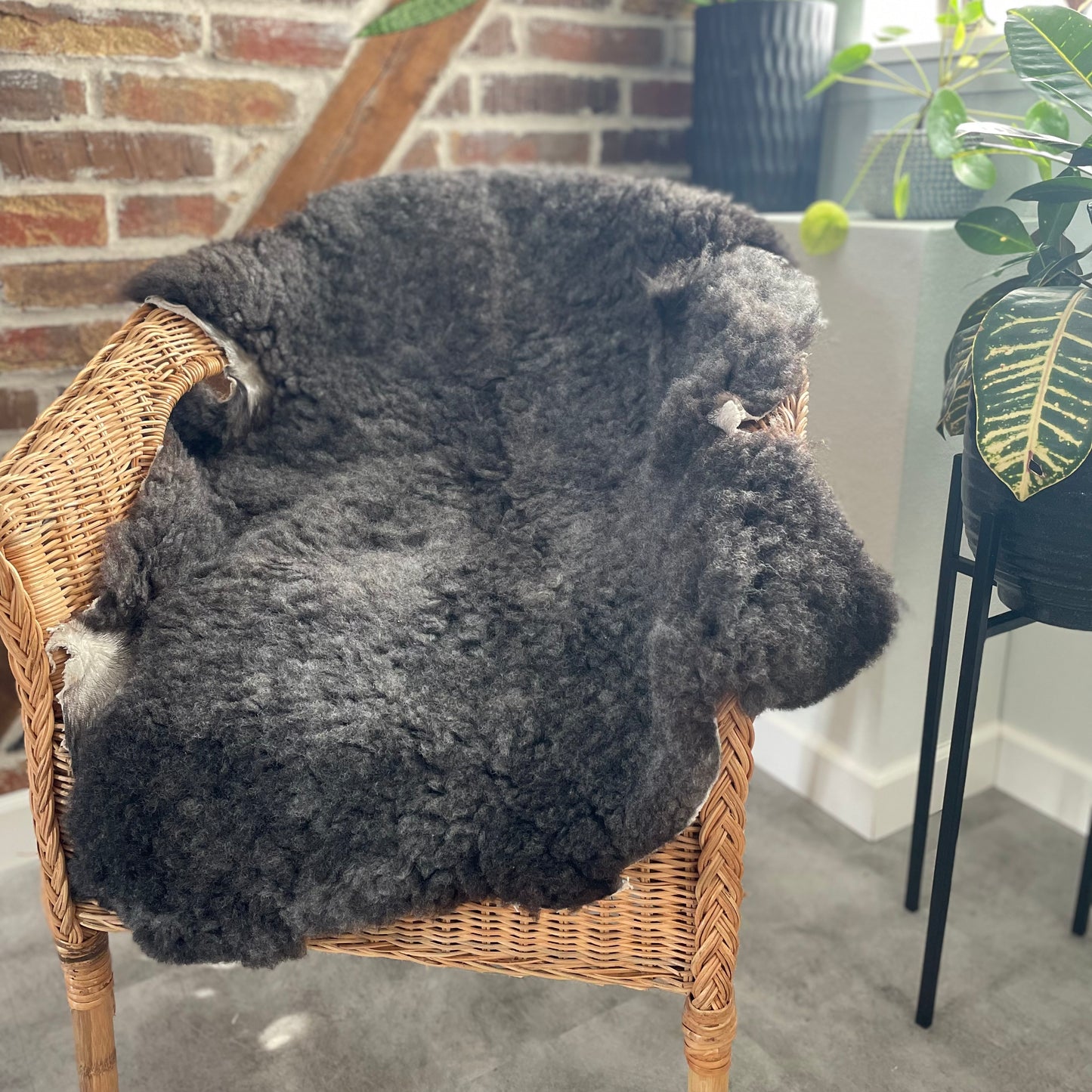 Sheepskin (2nd grade)