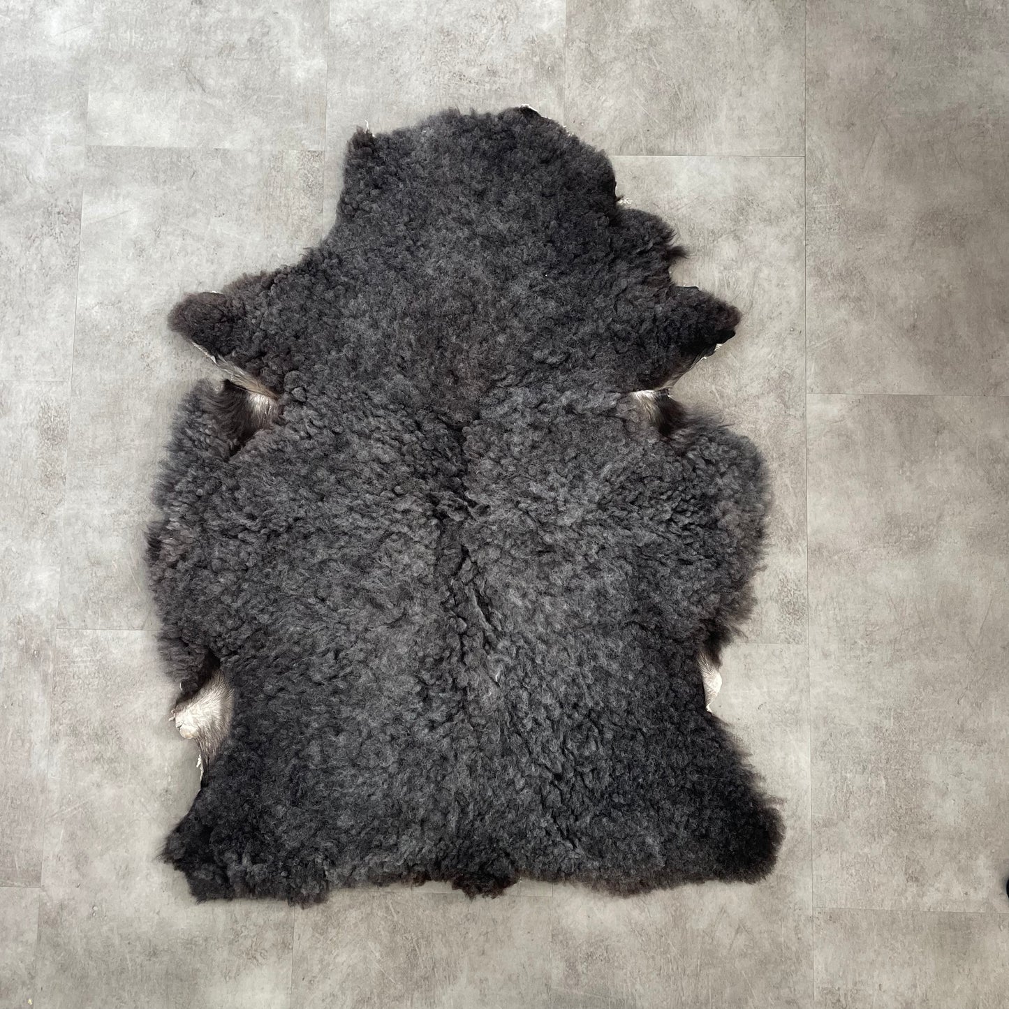 Sheepskin (2nd grade)