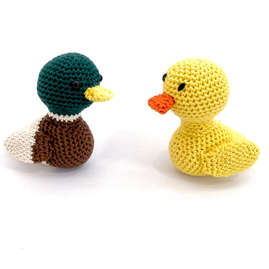 Little Duck