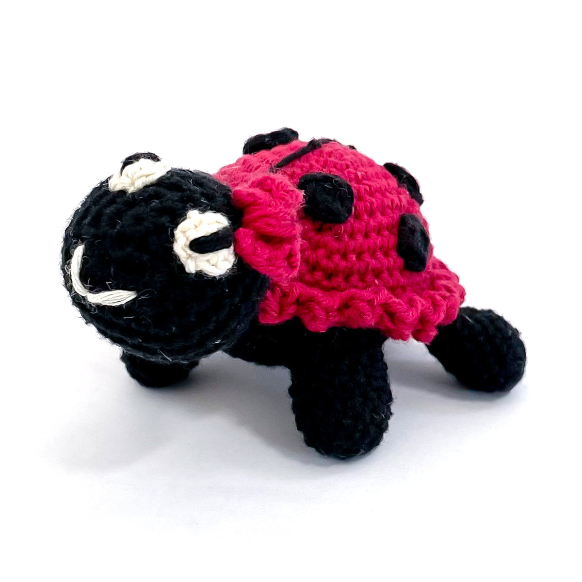 Little Ladybug