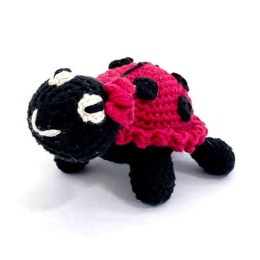 Little Ladybug